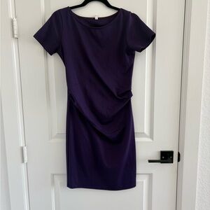 Pinkblush Purple Maternity Dress